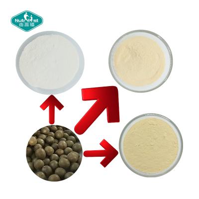 China Sweetener Mogrosides 80% Monk Fruit Extract Powder in Milk White Powder of Herbal Extract/Plant Extract for sale