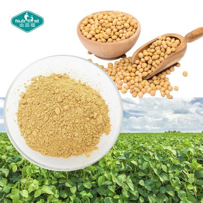 China 100% Natural Women Health Soybean Extract 40% Soy Isoflavone with Daidzein 15% for Menopausal Osteoporosis for sale