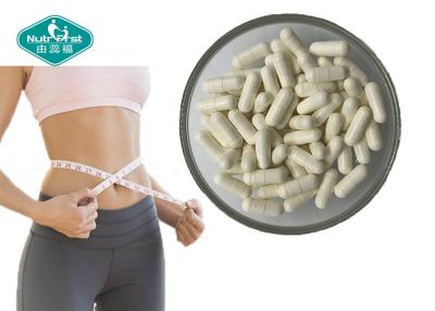 China 100% Natural Weight Loss Bitter Melon Extract 500 mg Capsule for Lowering Blood Sugar and Slimming Body for sale