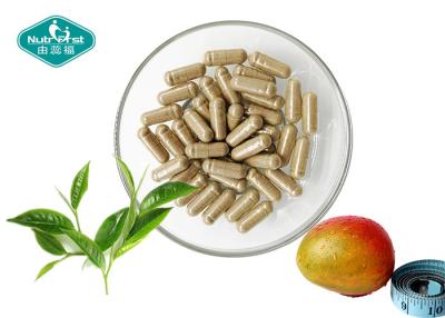 China Transparent Natural Weight Loss Capsules Extract From African Mango And Green Tea for sale