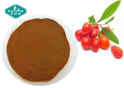 China Goji Berry Wolfberry Extract Lycium Barbarum L with Polysaccharides 10-50% for sale