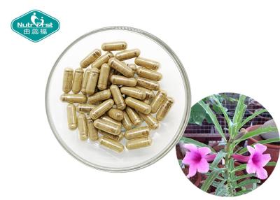 China Devil's Claw Capsules Support Arthritis Relief & Joint Function Supplement Contract Manufacturer for sale