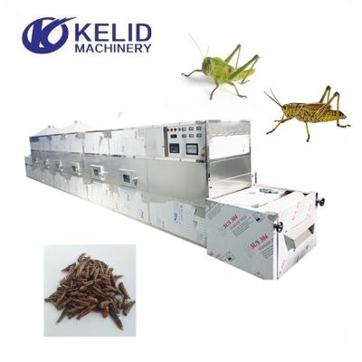 China Industrial Grasshopper Grasshopper Meat Processing Plants Microwave Insect Drying And Dehydration Machine for sale