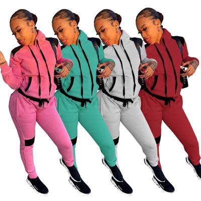 China Manufacturer Viable Fall Long Sleeve Ladies Tracksuit Women 2 Piece Set Clothing Double Color Wear Set Women Active Suits 2 Piece Set for sale