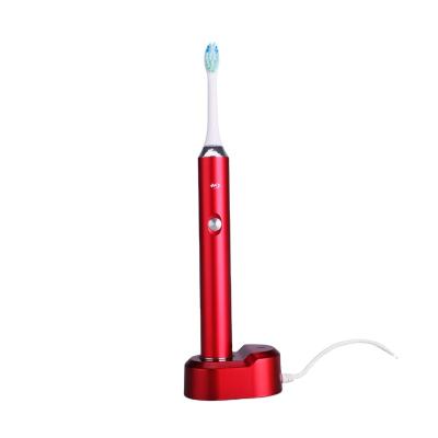 China 2023 New Electric Toothbrush Adult Home Sonic Power Whitening Toothbrush W12 for sale