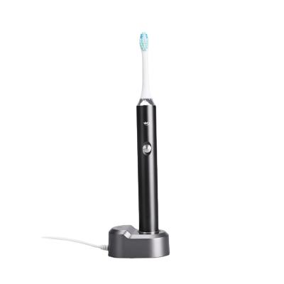 China 2023 New 3 Speed ​​Electric Toothbrush Adult USB Home Charging Toothbrush Sonic Power Whitening Toothbrush W12 for sale