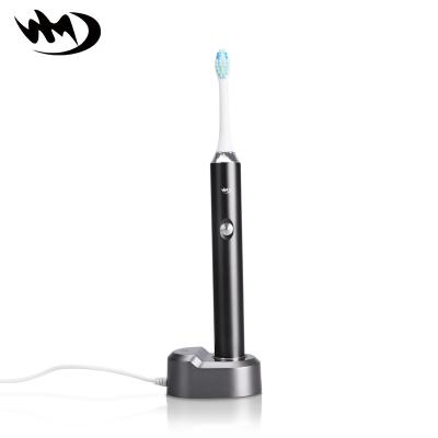 China New Type OEM Smart Sonic Electric Recordable Toothbrush For Custom Rechargeable Adults W12 for sale