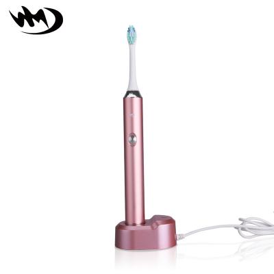 China Portable Family Straining Soft Portable USB Wireless Toothbrush Inductive Charging IPX7 Waterproof Pink for sale