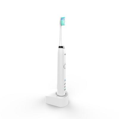 China Home\Hotel\2023 Travel Safety New Arrival Sonic Electric Toothbrush IPX7 Waterproof Rechargeable Toothbrush For Home Use for sale