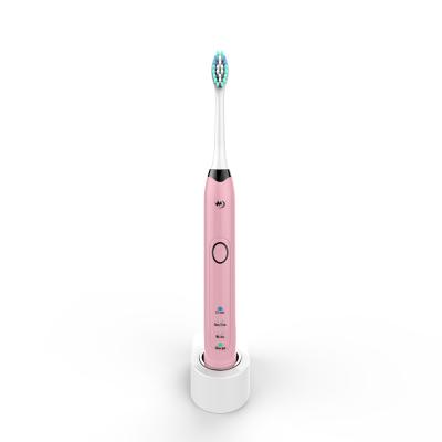 China Home\Hotel\Hot Selling Ultrasonic Vibration Sonic Electric Toothbrush Automatic Electronic Travel Rechargeable Eco for sale