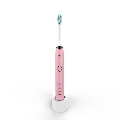 China Home\Hotel\2023 High Quality New Arrival Sonic Electric Travel Toothbrush IPX7 Waterproof Rechargeable Toothbrush For Adult USE for sale