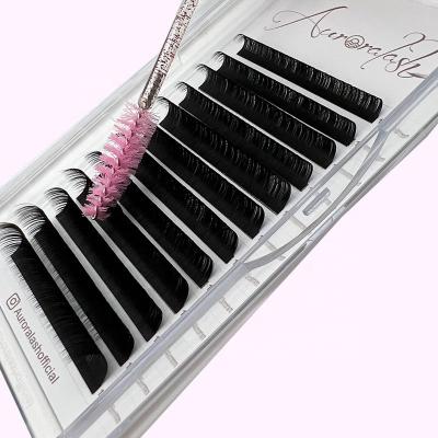 China Full Volume Las Extension Supplies Russian Matte Dark Black Cashmere Volume Lash Eyelash Extension Wholesale Customize for sale