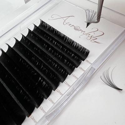 China Full Volume Eyelash Extension Easy Blooming Easy Fanning Lashes 0.03 0.05 0.07 Auto Eyelash Factory Lashes Fan Custom Logos for sale