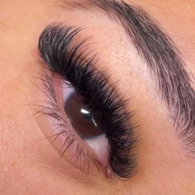 China Long Volume Natural Professional Bulk Eyelash Extension Private Volume Whips Individual Eyelash Silk Eyelash Extensions for sale