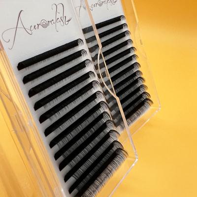 China Long 0.02 0.03 0.05 Russian Wholesale Premium Natural Matte Black Volume Fan Eyelash Extensions Lash Trays for sale