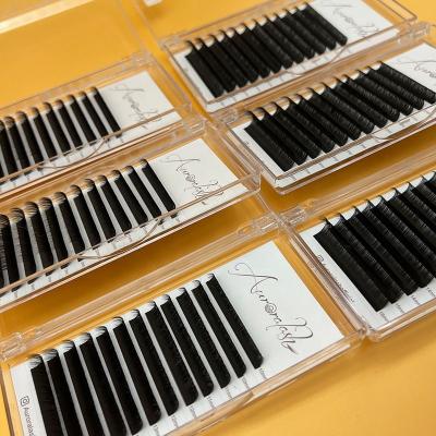 China Private Full Volume Eye Lashes Individual Eye Lash Extensions Lashes Supplies Cashmere Matte Black Eyelash Volume Eyelashes for sale