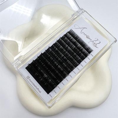 China Full Volume Classic Lashes Eyelash Fans Classic Easy Extension Different Volume Fan Dark Lashes for sale