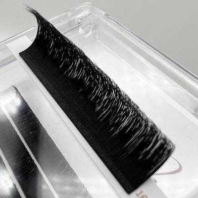 China Full Volume Private Label Fan Eyelash Extensions Mega Volume Sellers Silk Easy Fanning Fast Lashes for sale