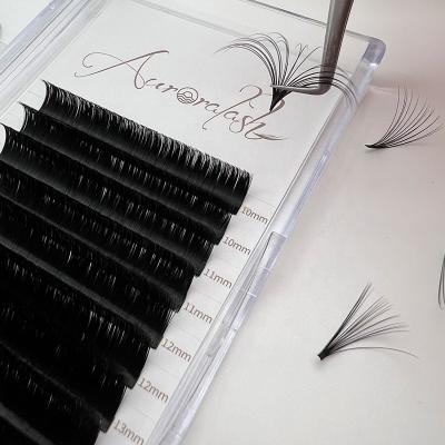 China Full Volume Flower Eyelash Extension Fans Silk Mink Volume Eye Lash Extension Trays Fast Blooming Lashes for sale