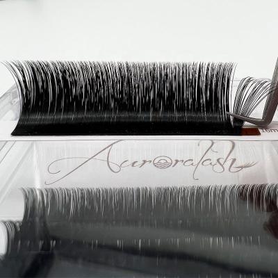 China Full Volume Eyelash Extensions Easy Fanning Volume Easy To Fan Lashes Blooming Extensions for sale