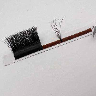 China Full Volume Volume Easy To Fan Blooming Lashes Extensions Fast Fanning Private Label Eyelash Extension for sale