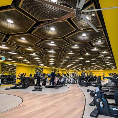 China Large Industrial Hotel Gym Fan Factory Fitness Air Cooling Fan /Fans For Gyms for sale