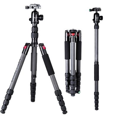 China Manbily CZ-305 PORTABLE Professional Foldable Tripod Digital Camera Tripod Carbon Monopod Tripod for sale