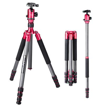 China Digital Camera Manbily CZ-820 Tripod For Camera Professional Carbon Fiber Tripod With B-20 Tripod Ball Head for sale