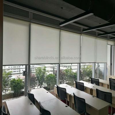 China Excellent quality China radio zebra online sale remote control motorized roller blinds for sale