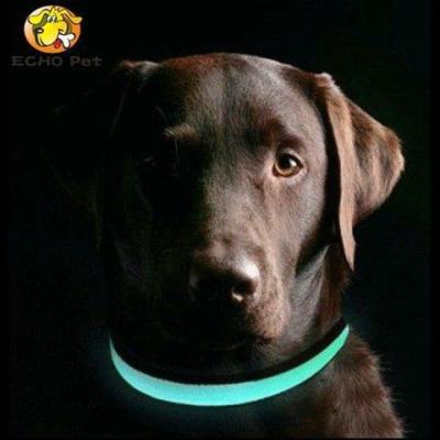 China Viable High Quality Glowing Led Dog Collar for sale