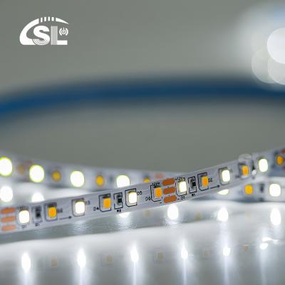 China 2835 CCT LED Strip 120leds Dual White Color Temperature Adjustable for Your Products for sale