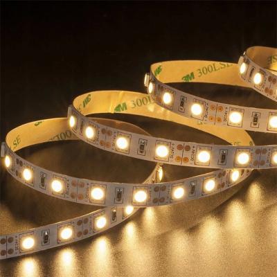 China Soft Outdoor Silicone Cover Smart Light-Smd2835 24V Led Strip Light 10M 12 Volt Chasing for sale