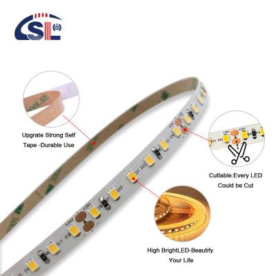 China IP20 2835 SMD Single Color LED Strip Light 120 Led 12V 24V 8W Low Voltage 3M for Mirror for sale