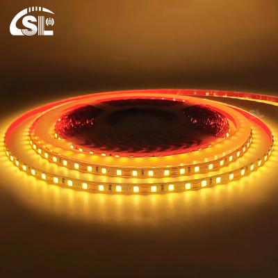 China Convenient Installation LED Light Strips for Bathroom Vanities Mirrors SMD2835 120D for sale