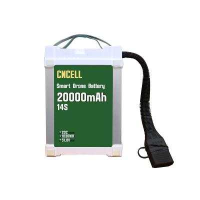 China Wholesale Intelligent Bumblebee Agricultural Plant Sprayer Lipo 14s 20000mAh 51.8v Battery For Agricultural Bumblebee Spraying for sale