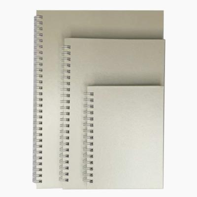 China A5 Blank Spiral Notebook Simple Student Notebook For Office Use This Diary Can Be Customized Notebook for sale