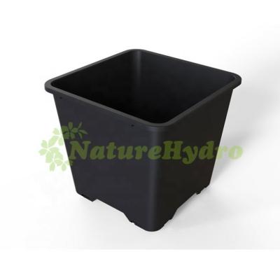 China Modern High Quality Agriculture Greenhouse Hydroponic Blueberry Growing Square Pots for sale