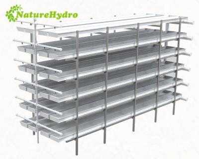 China For Grass Planting Seedling Wholesale Plant Nursery Trays Microgreen Growing Tray for sale