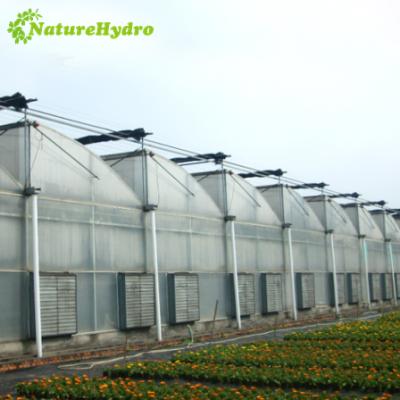 China Hydroponic Film Polytunnel Greenhouse Plastic Tunnel For Tropical Area for sale