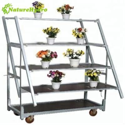 China Danish Hook Modern Style Metal Trolley CC Container for sale