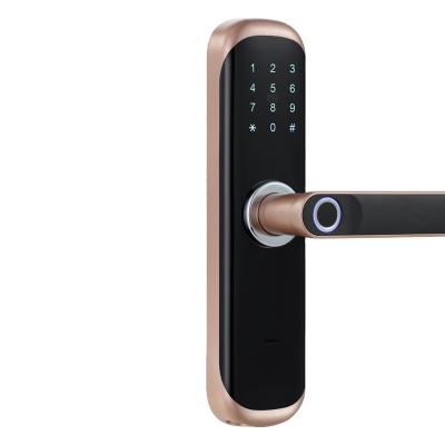 China Hotel Fingerprint Door Lock WiFi TTLock APP Q210 Remote Control for sale