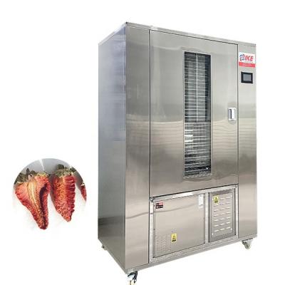 China WRH-100GN High Efficiency Commercial Electric Food Dryer For Strawberry Apple Grape Orange Peel Tea Drying for sale