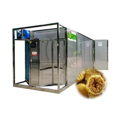 China Energy-saving vegetable and fruit drying equipment for garlic red apricot fig tomato dates green bean for sale