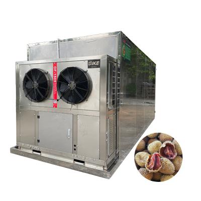 China Commercial Food Processing AIO-DF1500GWK Heat Pump Dryer For Longan And Lychee for sale