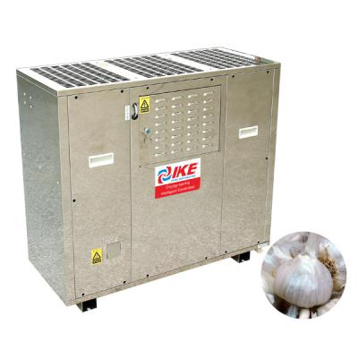 China Building Material Shops Industrial Garlic Dehydrator Food Processing Drying Machine For Vegetables IKE Heat Pump Ginger Dyer for sale