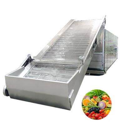 China Stainless Steel Customized Fruit And Vegetable Food Dehydrator Large Scale Industrial Production Line for sale