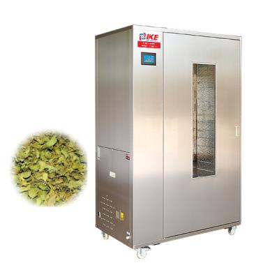 China Food industry industry bay leaf and moringa leaf continuous drying machine for sale