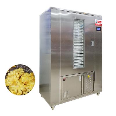 China New High Efficiency Fruit Natural Hot Fanned Pineapple Tomato Cherry Herbal Drying Machine for sale