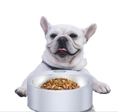 China Automatic Electronic Dog Scale Promotional Bowl Weigh Scale Pet Digital Bowl For Dog Pet Bowl With Scale for sale