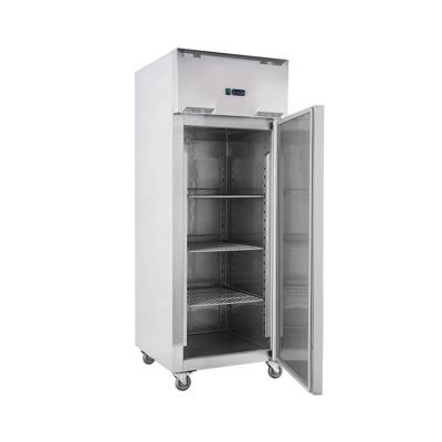 China Single-temperature commercial restaurant kitchen freezer/industrial freezers/deep freezers for sale for sale